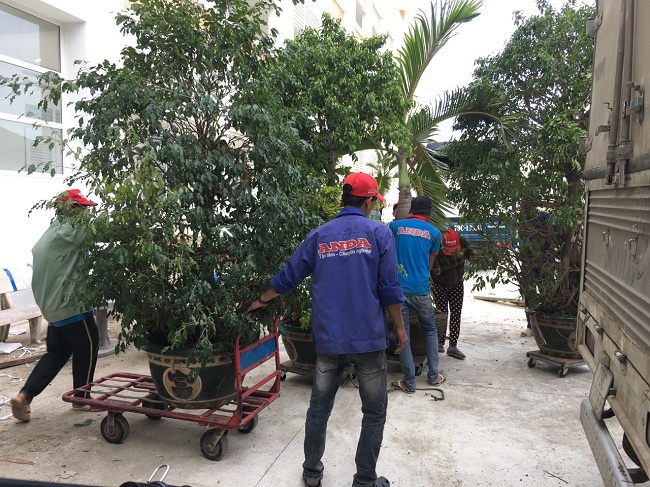 Dịch vụ chuyển nhà trọn gói chuyên nghiệp AnDa giá rẻ 0965789248